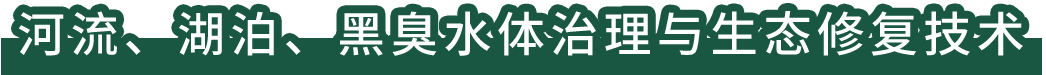 河流、湖泊、黑臭水體治理與生態(tài)修復(fù)技術(shù)
