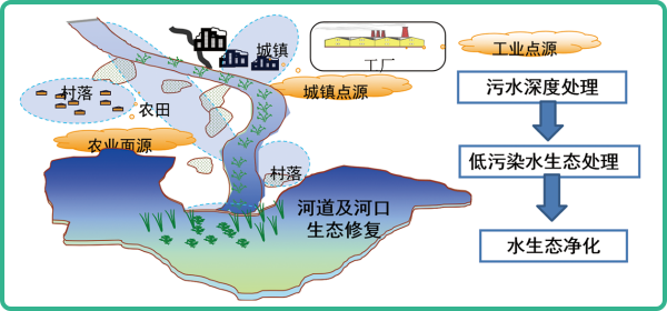 人工濕地，人工濕地建設(shè)